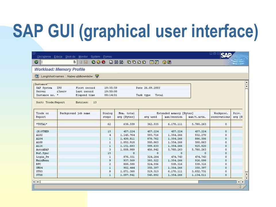 SAP GUI (graphical user interface)