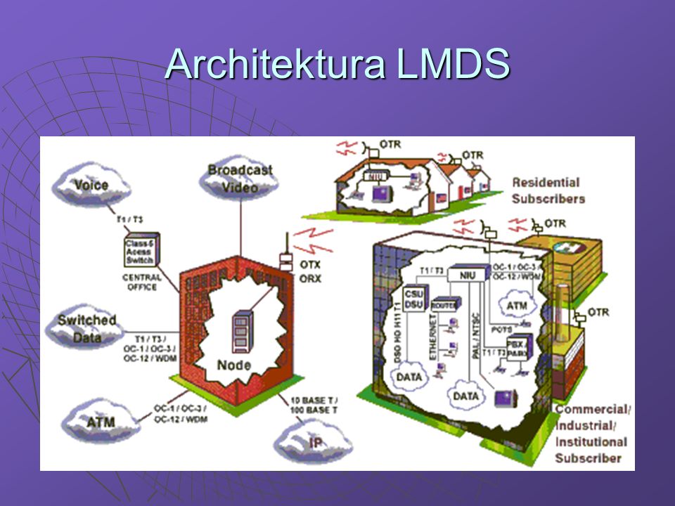 Architektura LMDS