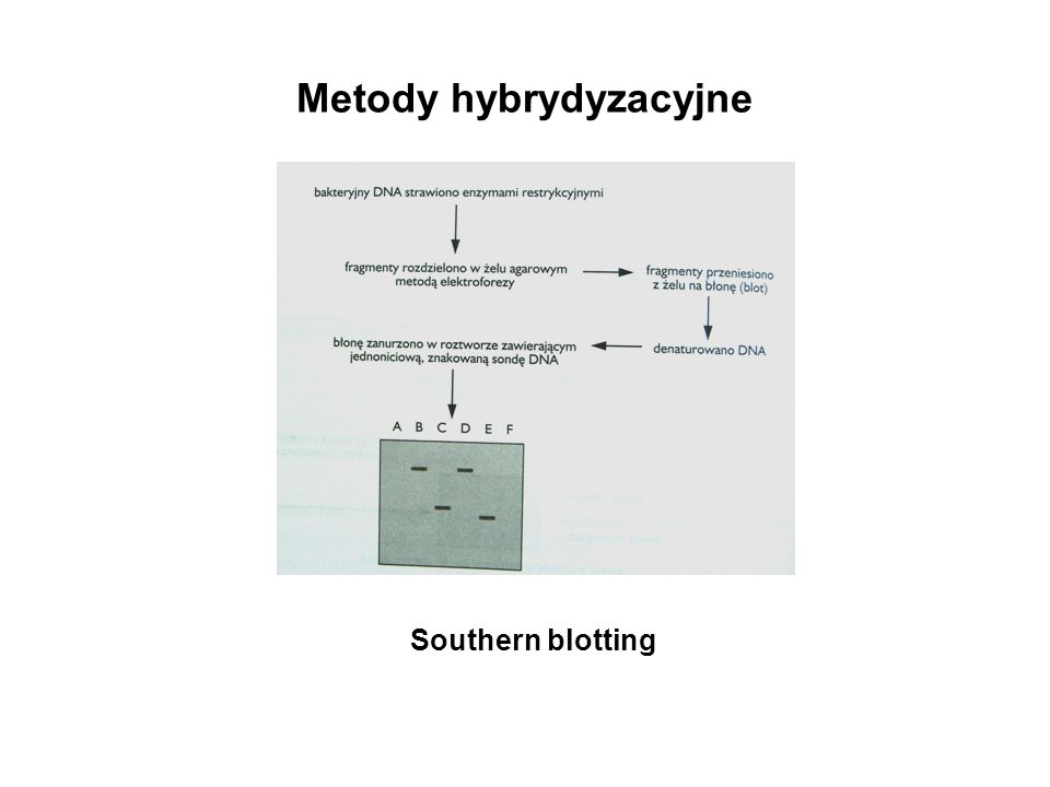 Metody hybrydyzacyjne