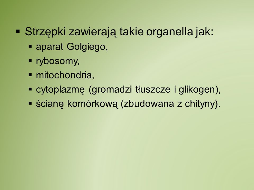 Strzępki zawierają takie organella jak: