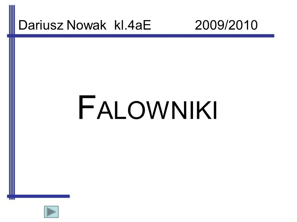 Dariusz Nowak kl.4aE 2009/2010 FALOWNIKI
