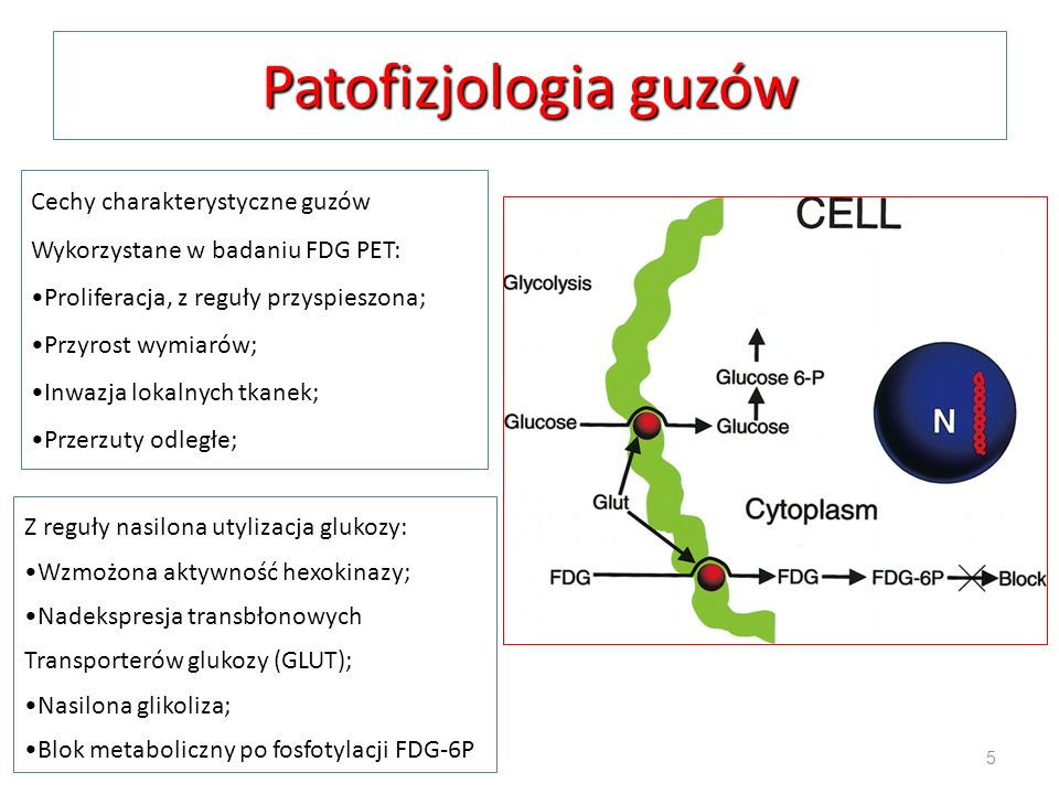 Patofizjologia guzów Cechy charakterystyczne guzów
