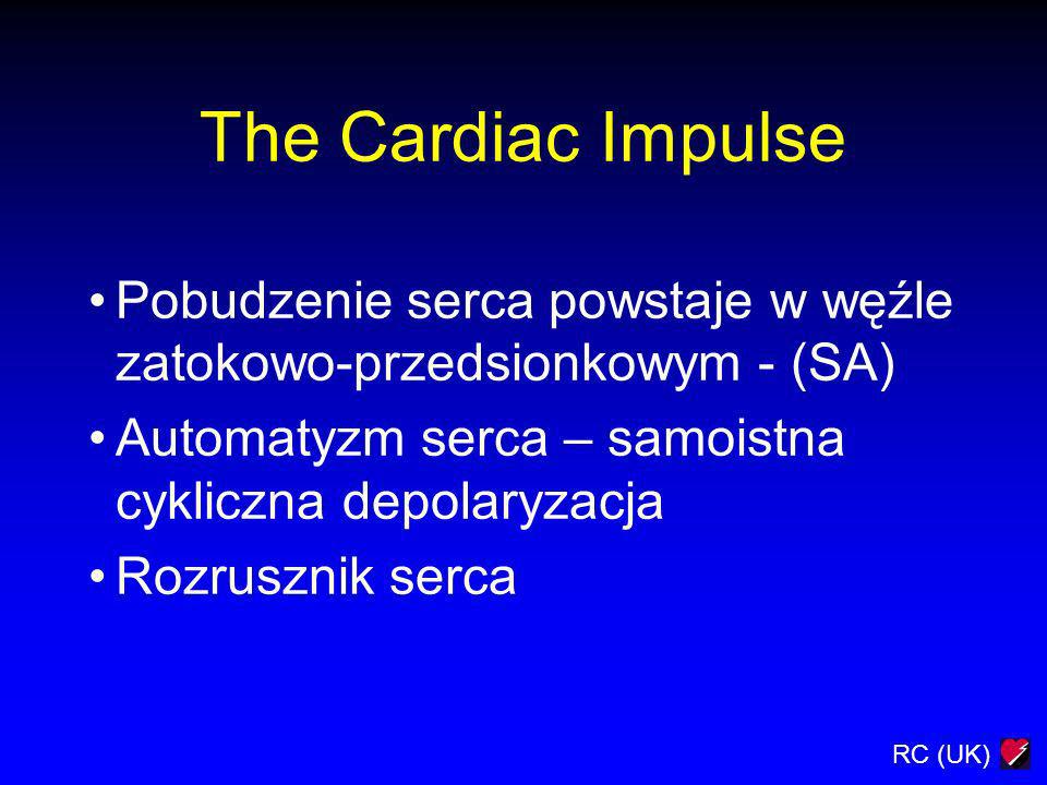 The Cardiac Impulse Pobudzenie serca powstaje w węźle zatokowo-przedsionkowym - (SA) Automatyzm serca – samoistna cykliczna depolaryzacja.