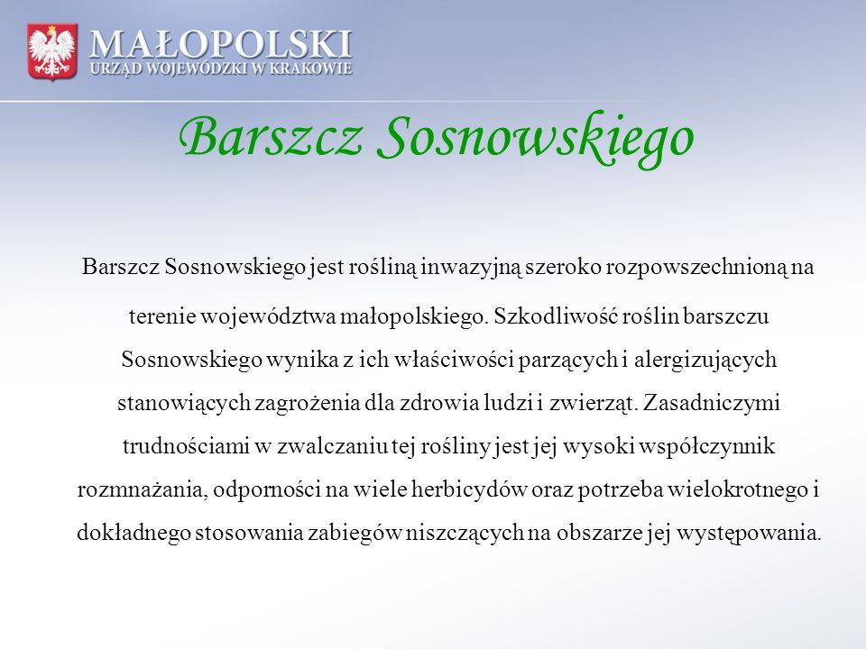 Barszcz Sosnowskiego