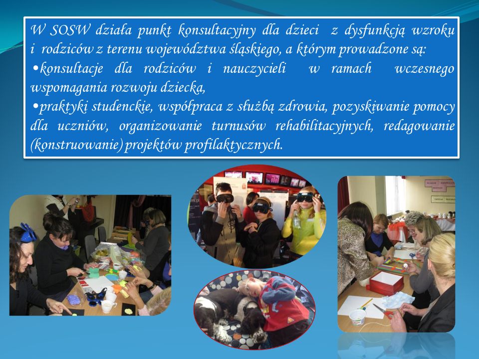 W SOSW działa punkt konsultacyjny dla dzieci z dysfunkcją wzroku i rodziców z terenu województwa śląskiego, a którym prowadzone są: