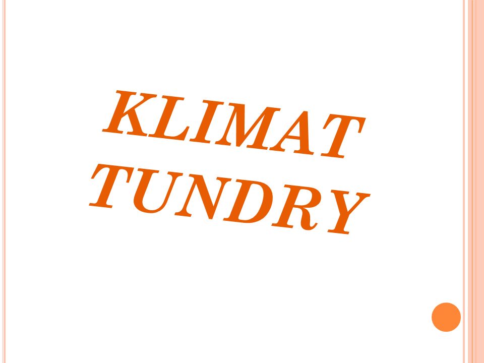 KLIMAT TUNDRY