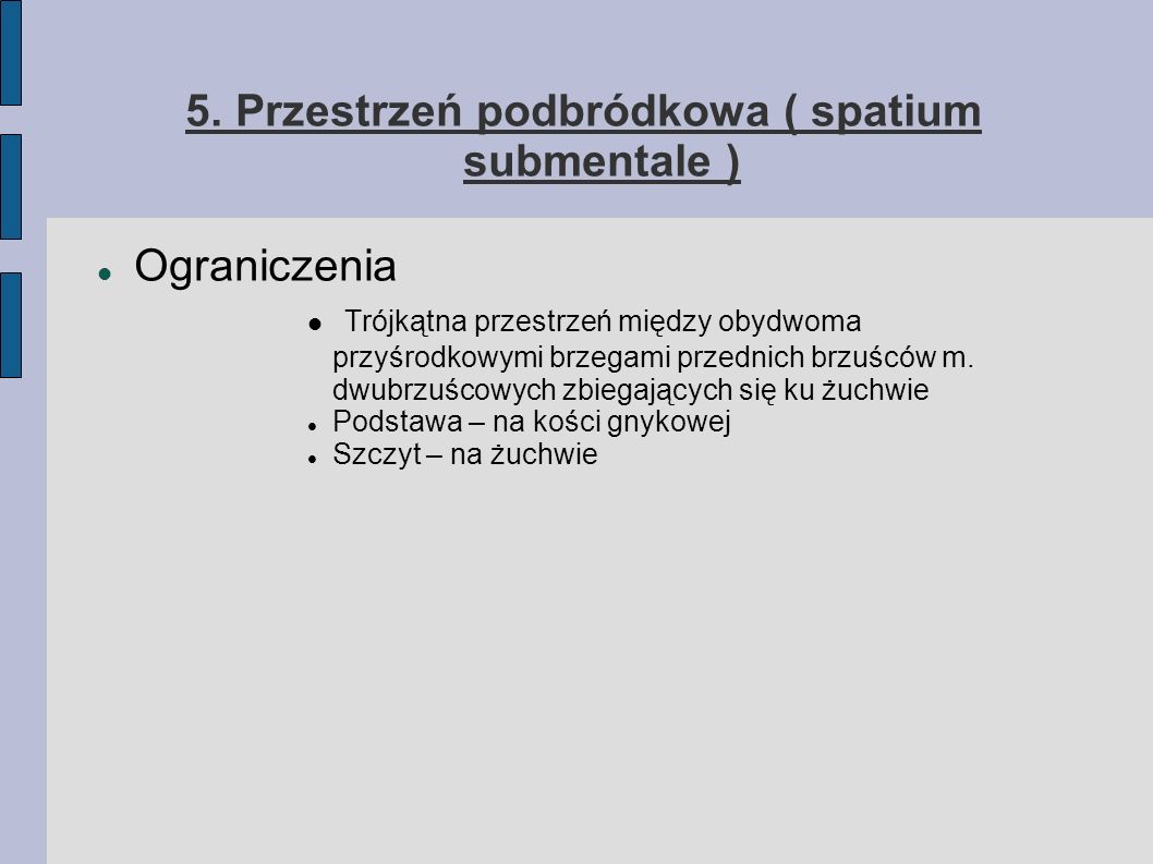 5. Przestrzeń podbródkowa ( spatium submentale )‏