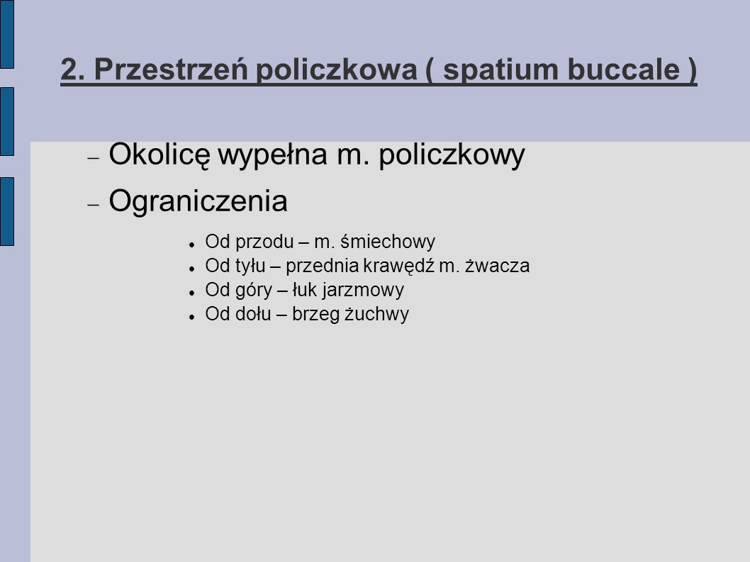 2. Przestrzeń policzkowa ( spatium buccale )‏
