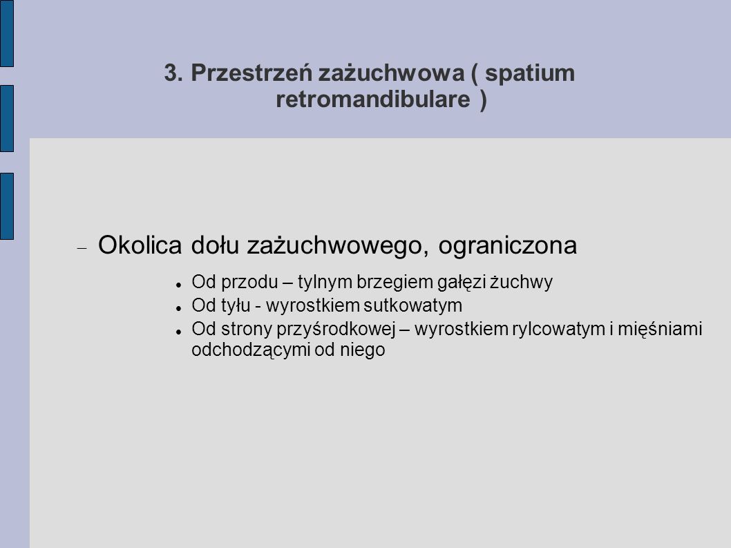 3. Przestrzeń zażuchwowa ( spatium retromandibulare )‏