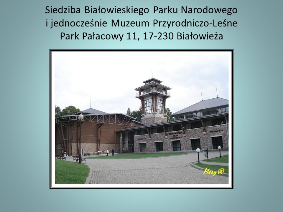 Siedziba Białowieskiego Parku Narodowego i jednocześnie Muzeum Przyrodniczo-Leśne Park Pałacowy 11, Białowieża