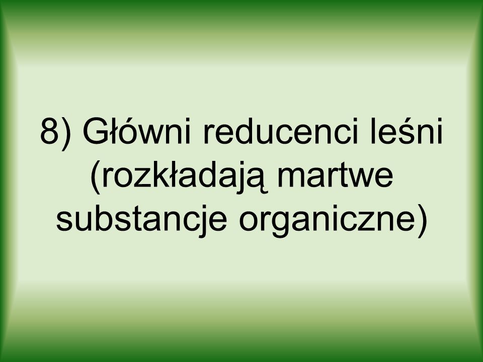 8) Główni reducenci leśni (rozkładają martwe substancje organiczne)