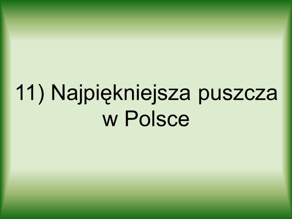 11) Najpiękniejsza puszcza w Polsce