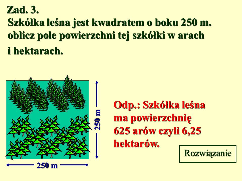 Odp.: Szkółka leśna ma powierzchnię 625 arów czyli 6,25 hektarów.