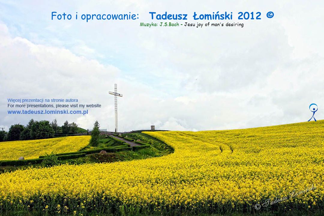 Foto i opracowanie: Tadeusz Łomiński 2012 ©