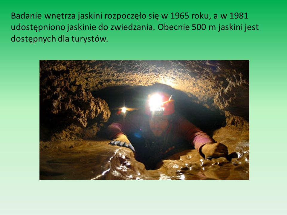 Badanie wnętrza jaskini rozpoczęło się w 1965 roku, a w 1981 udostępniono jaskinie do zwiedzania.