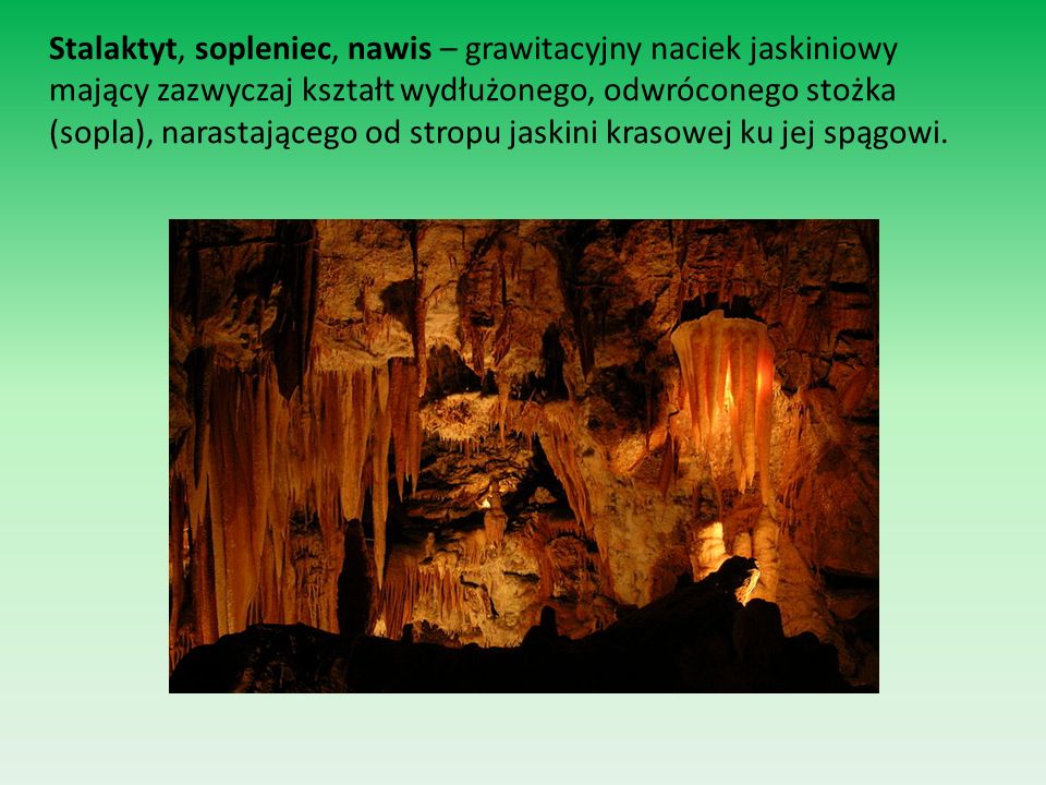 Stalaktyt, sopleniec, nawis – grawitacyjny naciek jaskiniowy mający zazwyczaj kształt wydłużonego, odwróconego stożka (sopla), narastającego od stropu jaskini krasowej ku jej spągowi.