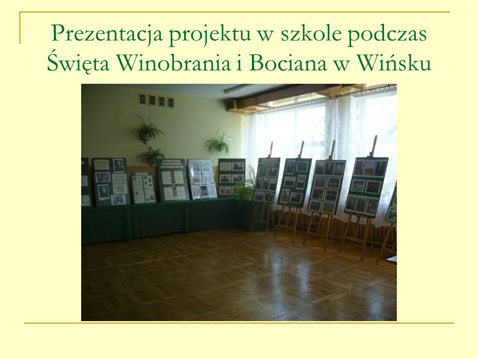 Prezentacja projektu w szkole podczas Święta Winobrania i Bociana w Wińsku