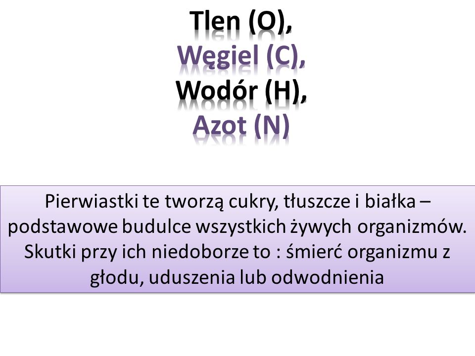 Tlen (O), Węgiel (C), Wodór (H), Azot (N)