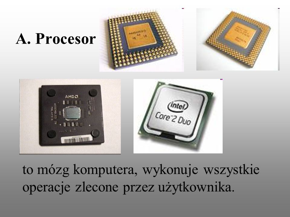 A. Procesor to mózg komputera, wykonuje wszystkie operacje zlecone przez użytkownika.