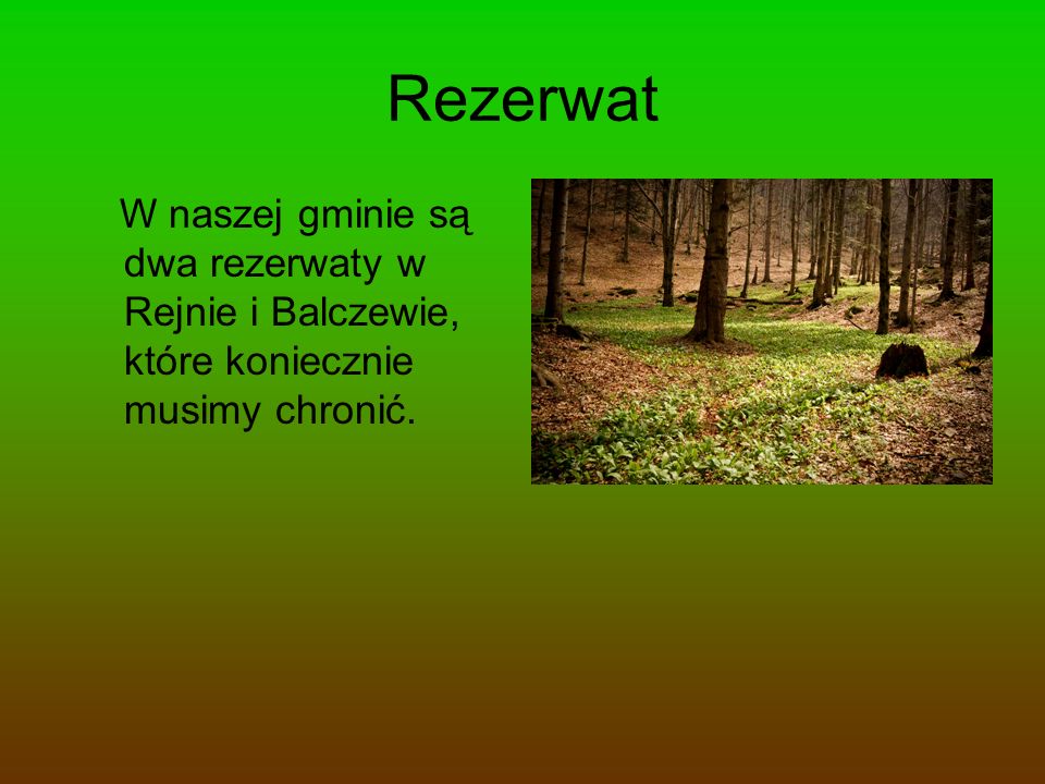 Rezerwat W naszej gminie są dwa rezerwaty w Rejnie i Balczewie, które koniecznie musimy chronić.