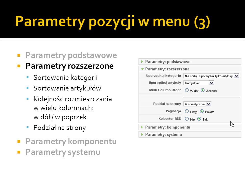 Parametry pozycji w menu (3)