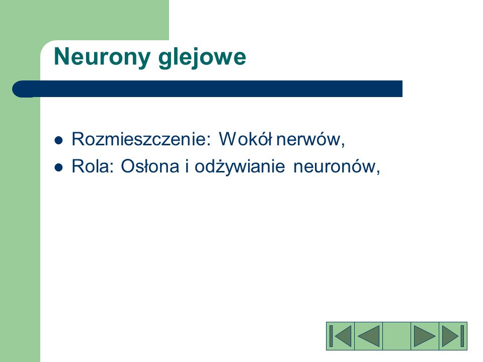 Neurony glejowe Rozmieszczenie: Wokół nerwów,