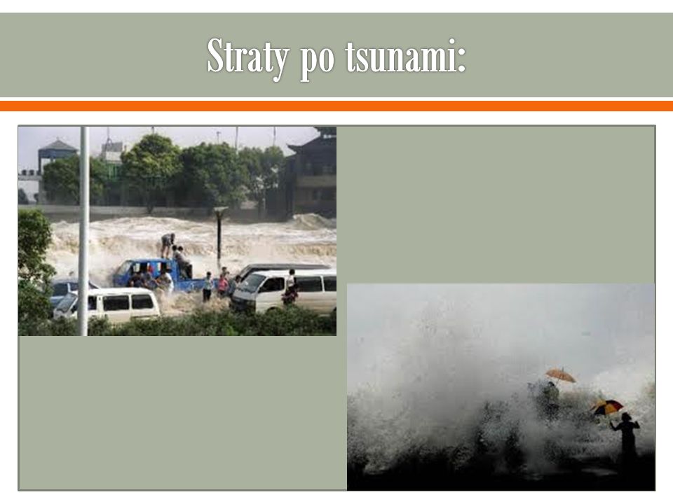 Straty po tsunami: