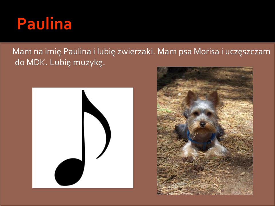 Paulina Mam na imię Paulina i lubię zwierzaki. Mam psa Morisa i uczęszczam do MDK. Lubię muzykę.