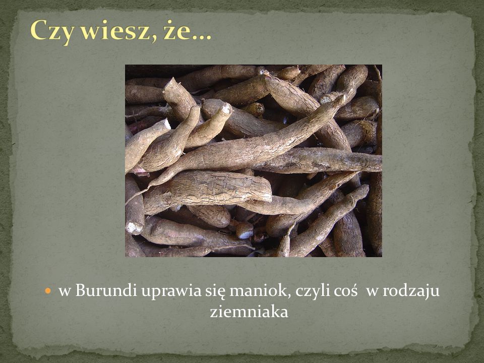 w Burundi uprawia się maniok, czyli coś w rodzaju ziemniaka