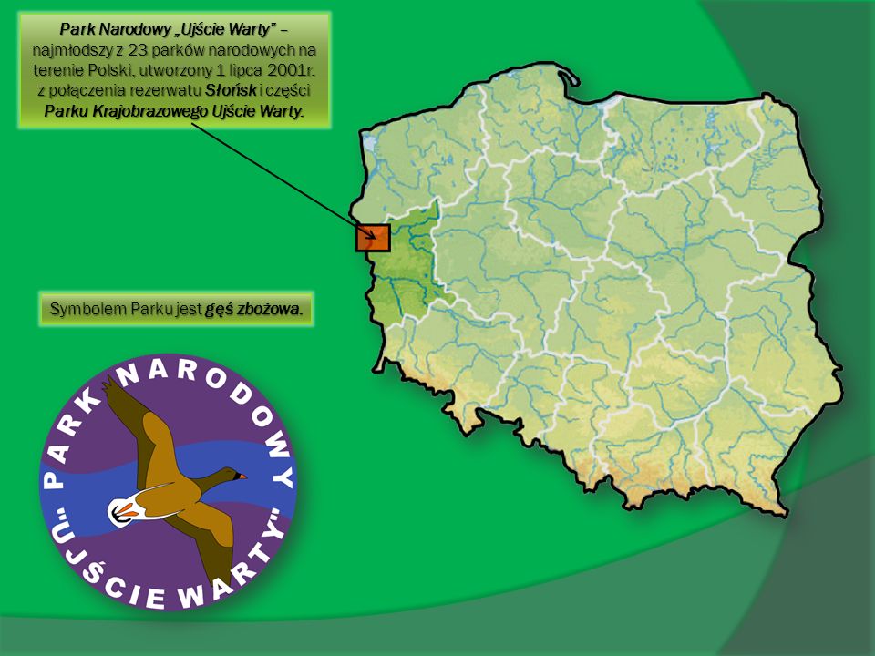 Park Narodowy „Ujście Warty – najmłodszy z 23 parków narodowych na terenie Polski, utworzony 1 lipca 2001r. z połączenia rezerwatu Słońsk i części Parku Krajobrazowego Ujście Warty.