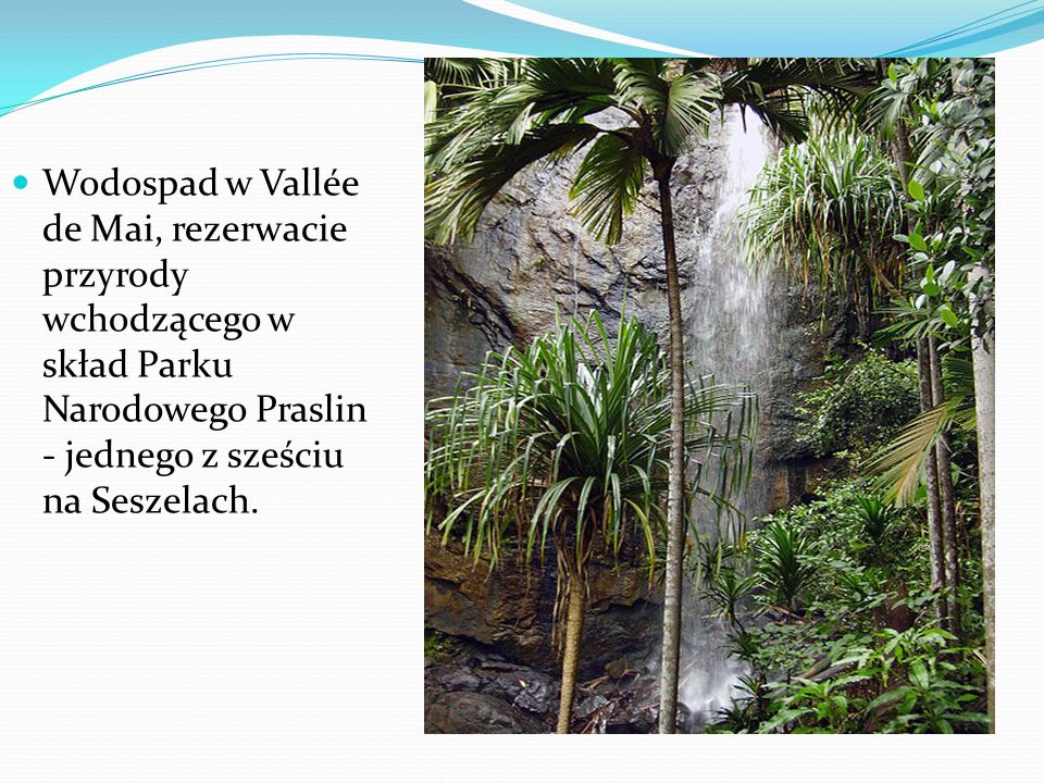 Wodospad w Vallée de Mai, rezerwacie przyrody wchodzącego w skład Parku Narodowego Praslin - jednego z sześciu na Seszelach.
