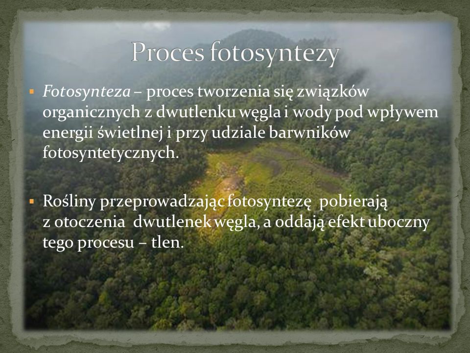 Proces fotosyntezy