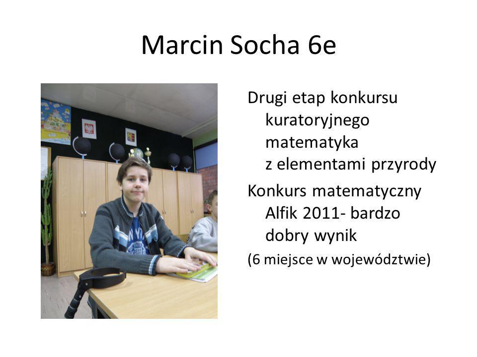 Marcin Socha 6e Drugi etap konkursu kuratoryjnego matematyka z elementami przyrody. Konkurs matematyczny Alfik bardzo dobry wynik.