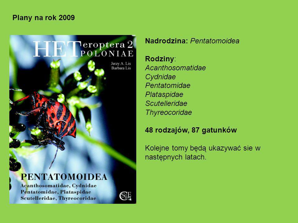 Plany na rok 2009 Nadrodzina: Pentatomoidea. Rodziny: Acanthosomatidae. Cydnidae. Pentatomidae.