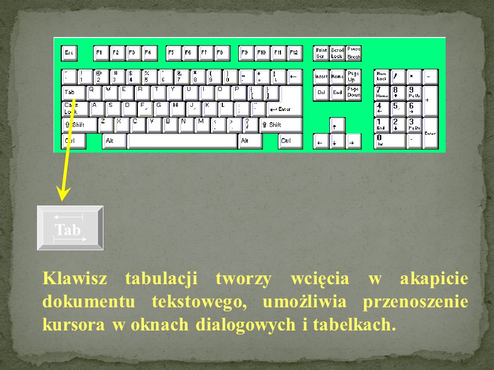 Tab Klawisz tabulacji tworzy wcięcia w akapicie dokumentu tekstowego, umożliwia przenoszenie kursora w oknach dialogowych i tabelkach.