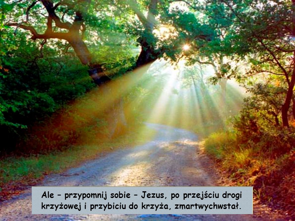 Ale – przypomnij sobie – Jezus, po przejściu drogi krzyżowej i przybiciu do krzyża, zmartwychwstał.