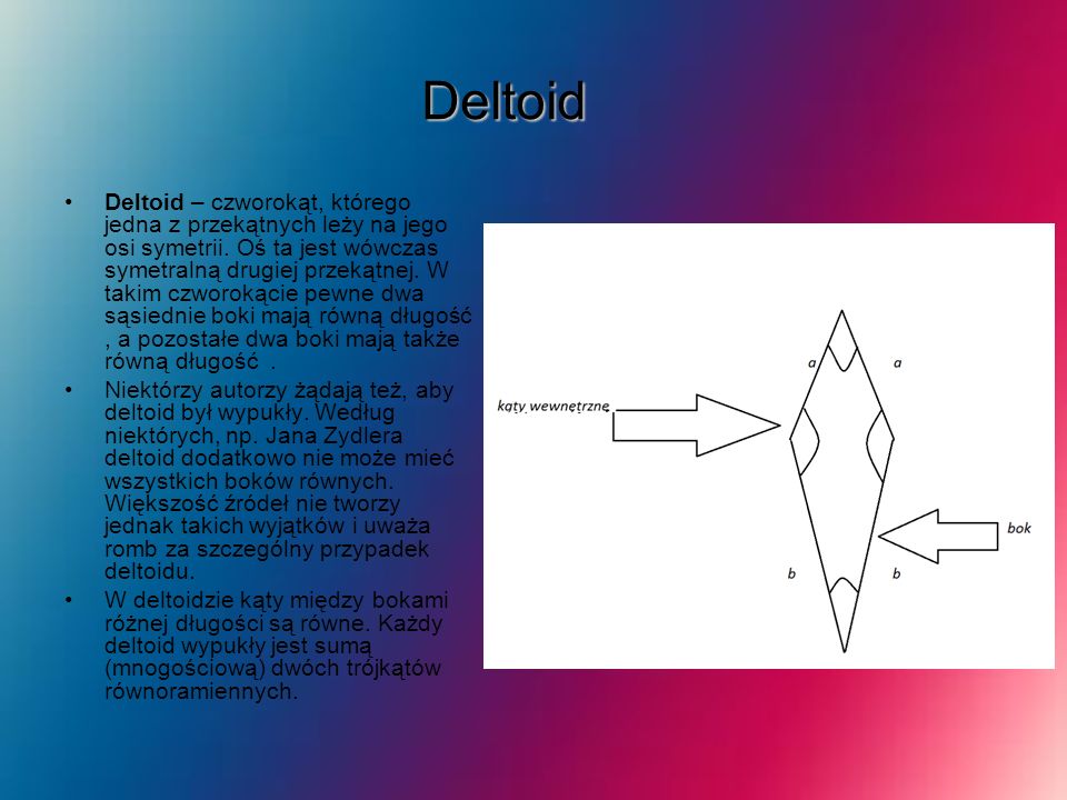Deltoid