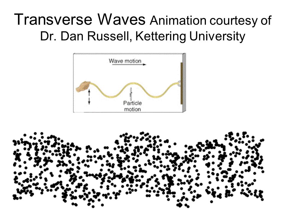 Transverse Waves Animation courtesy of Dr