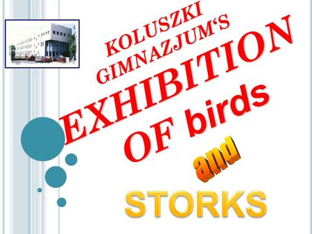KOLUSZKI GIMNAZJUM‘S EXHIBITION OF birds