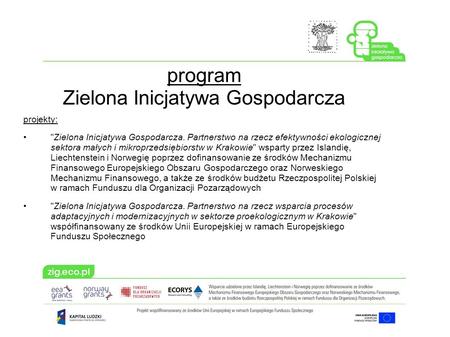 Program Zielona Inicjatywa Gospodarcza projekty: Zielona Inicjatywa Gospodarcza. Partnerstwo na rzecz efektywności ekologicznej sektora małych i mikroprzedsiębiorstw.