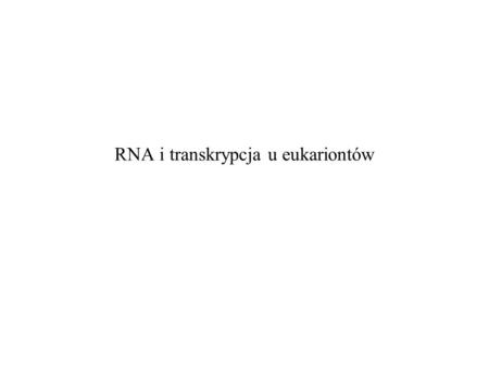 RNA i transkrypcja u eukariontów
