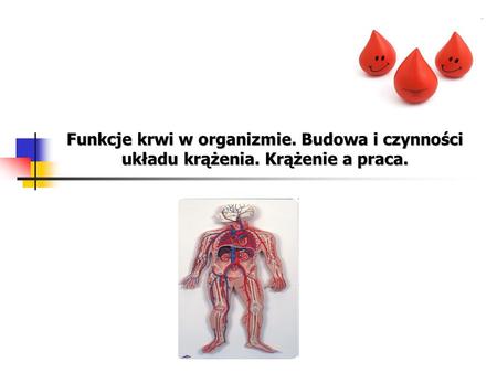 Funkcje krwi w organizmie. Budowa i czynności układu krążenia