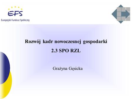 Rozwój kadr nowoczesnej gospodarki 2.3 SPO RZL Grażyna Gęsicka.