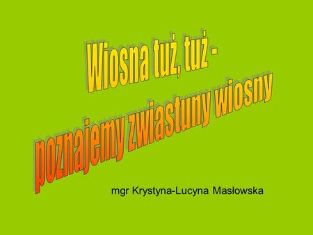 mgr Krystyna-Lucyna Masłowska