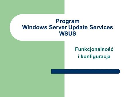 Program Windows Server Update Services WSUS