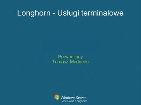 Longhorn - Usługi terminalowe