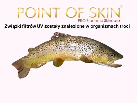 Związki filtrów UV zostały znalezione w organizmach troci