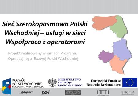 Sieć Szerokopasmowa Polski Wschodniej – usługi w sieci