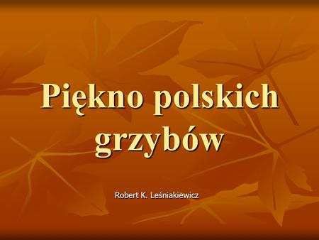 Piękno polskich grzybów