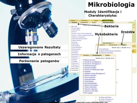 Mikrobiologia Moduły Identifikacja i Charakterystyka: Bakterie Drożdże